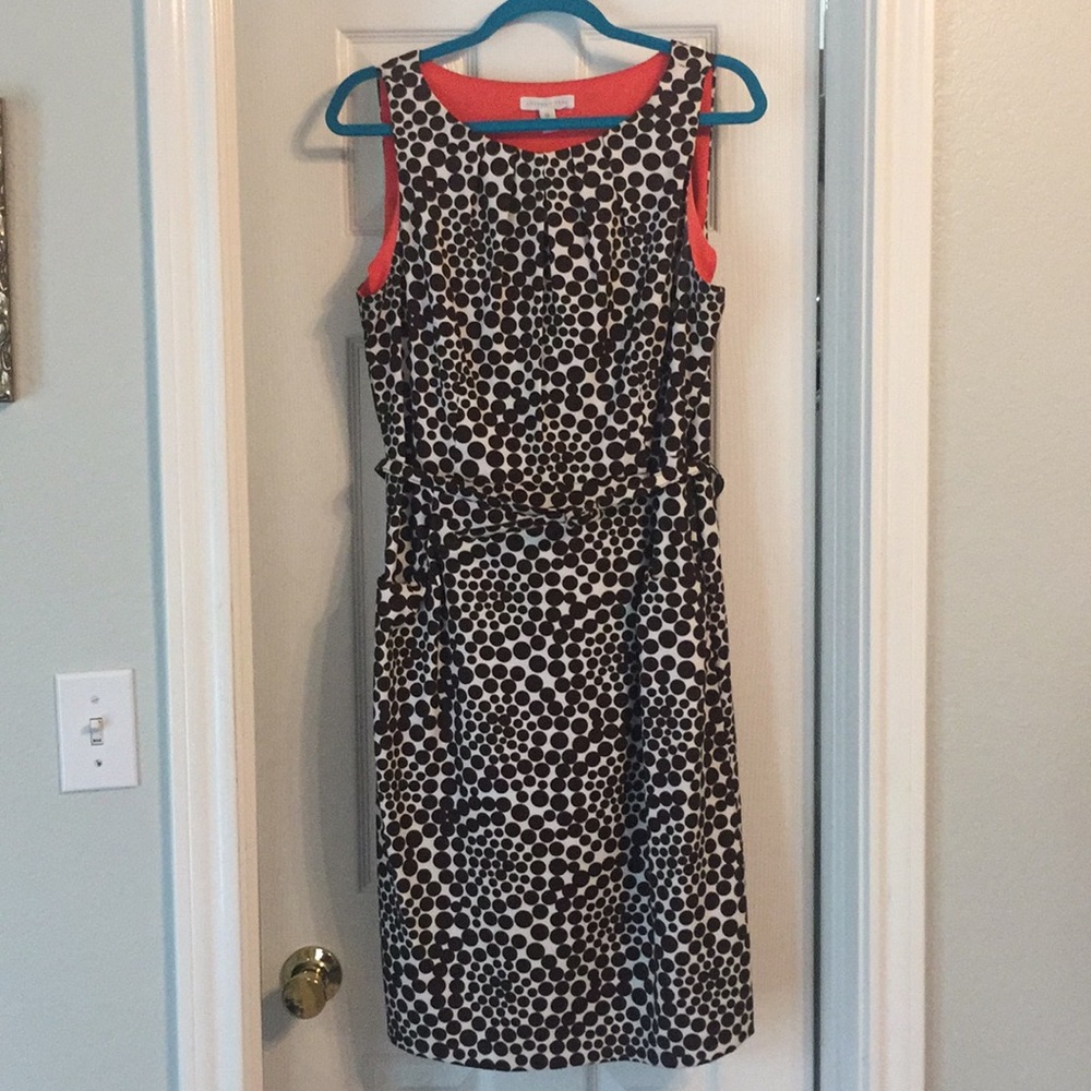 London Times brown n white polka dot dress